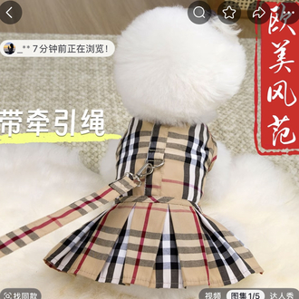 Burberry özel tasarımlı pet elbise