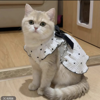 Pet elbisesi 