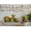 Shrek, Fiona ve Bebekler Tarif (PDF)