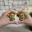 Shrek, Fiona ve Bebekler Tarif (PDF)