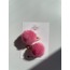 Pembe Ponpon Çıtçıt