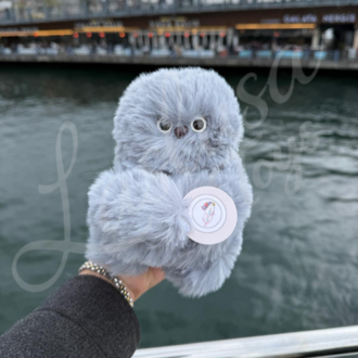 Mirumi - Duygusal Zekalı Sesli ve Hareketli Peluş Mini Oyuncak Robot Gri