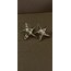vega earrings