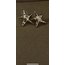 vega earrings