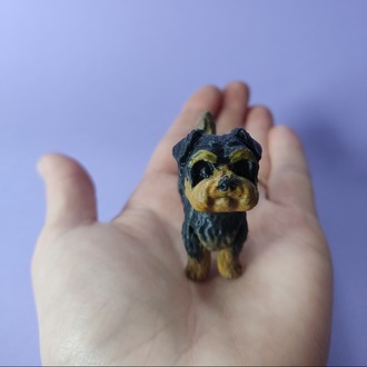 Yorkie the Yorkshire terrier