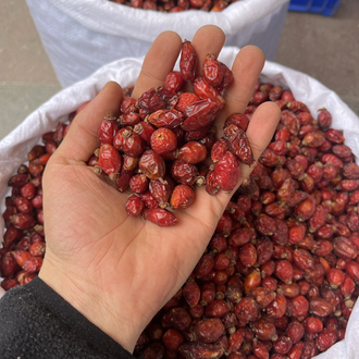 KURU KUŞBURNU net 1 KG