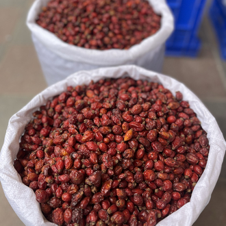 KURU KUŞBURNU net 1 KG