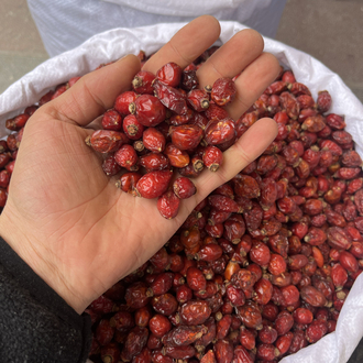 KURU KUŞBURNU net 1 KG