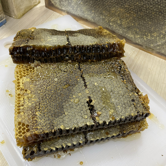 YENİ SEZON Karakütük balımız NET 1 KG 