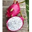 Ejder Meyvesi (Pitahaya)  (1 KG)