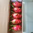 Ejder Meyvesi (Pitahaya)  (1 KG)