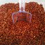 Tane Sumak 250 Gr 