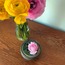 Emma Vase / Emma Vazo