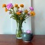 Emma Vase / Emma Vazo