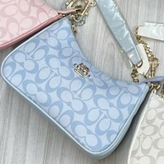 Coach Teri Shoulder Bag