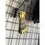 Dainese Full Metal 6 VR46 Eldiven Anahtarlık 3D PVC 