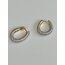2 Renk Oval Küpe 