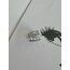 Silver İncili Zirkon Taşlı Kıkırdak Küpe