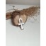 Ankh
