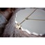 Butterfly Steel Necklace