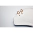 Ay Yıldız Steel Earring
