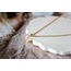 Love Butterfly Steel Necklace