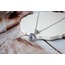 Swarovnski Hearth Steel Necklace