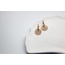 Shinely S Steel Earring