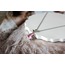 Pink Swan Steel Necklace