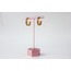 Hoop Steel Earring