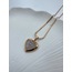 Swarovnski Hearth Steel Necklace