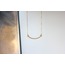 Sİngs Steel Necklace