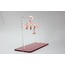 Butterfly Steel Earring
