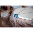 Blue Swans Steel Necklace