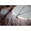 Butterfly Steel Necklace
