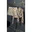 “LİMİTED” Dolce & Gabbana Takım 