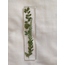 Greeny 2 Bookmarks