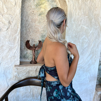 Aqua Muse Takım