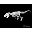 T-REX İSKELET MAKETİ