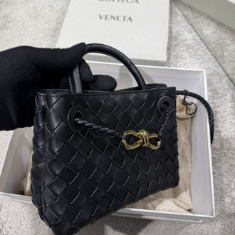 Bottega veneta mini andiamo