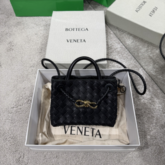 Bottega veneta mini andiamo