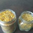 Taze polen 100 gr