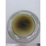 PROPOLİS MASKESİ 25 GR