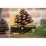Mimaras Natural Çam Balı Teneke Ambalaj Net 850gr