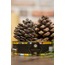 Mimaras Natural Çam Balı Teneke Ambalaj Net 850gr