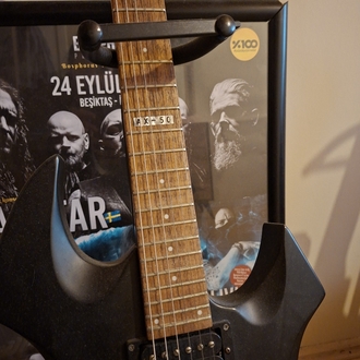 Guitar / LTD