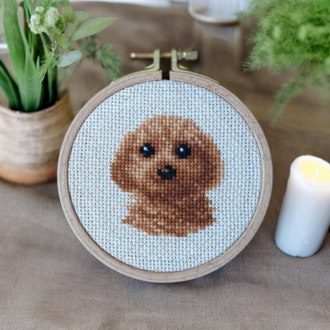 Pet Series No:1 Toy Poodle