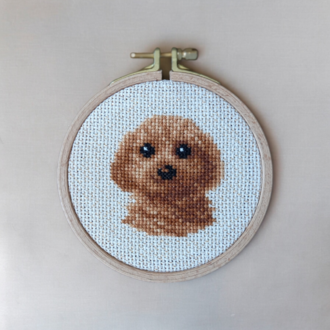 Pet Series No:1 Toy Poodle