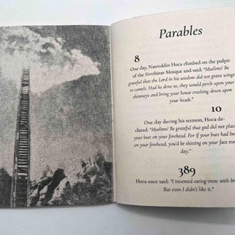 Donkey's Years: The Censored Parables of Nasreddin Hoca (riso edition), Efe Levent