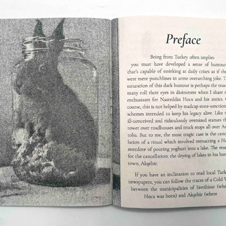 Donkey's Years: The Censored Parables of Nasreddin Hoca (riso edition), Efe Levent